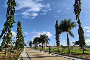 IMG_20250523_173019049